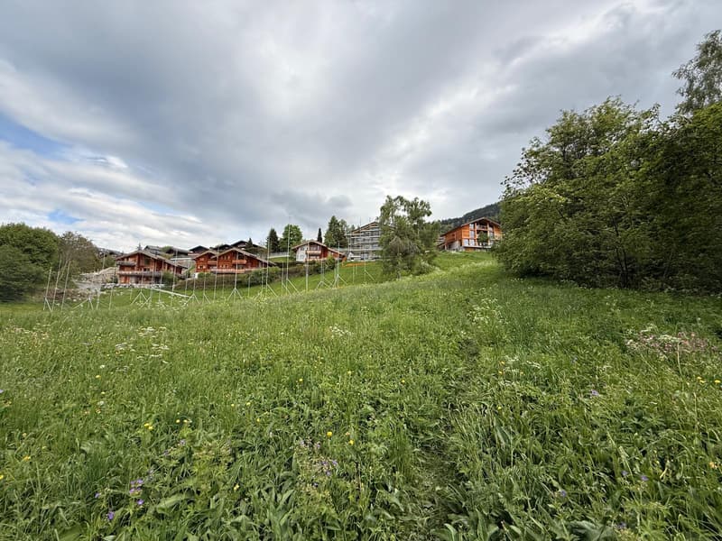 Lot de 2 belles parcelles au calme (3)