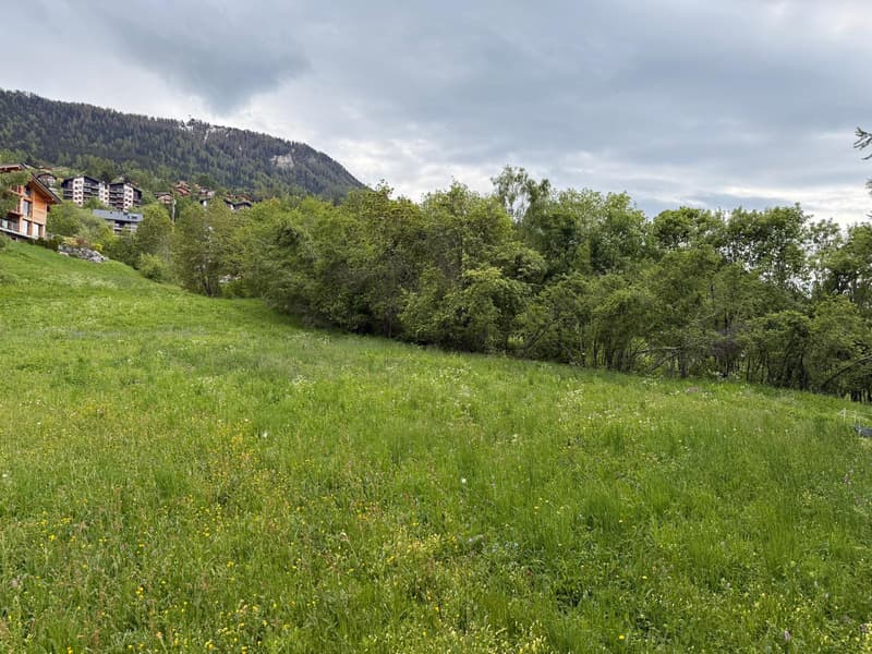 Lot de 2 belles parcelles au calme (2)