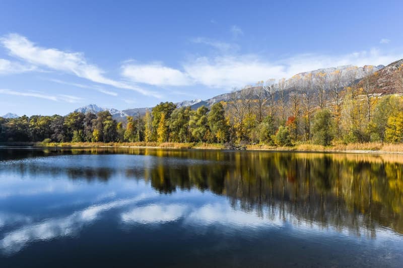 Appartement 2,5p dans nouvelle promotion en face du Golf de Sierre (7)