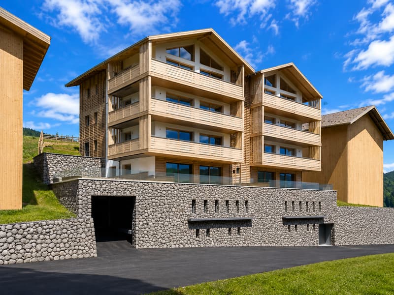 Superbe appartement avec vue sur la vallée (4)