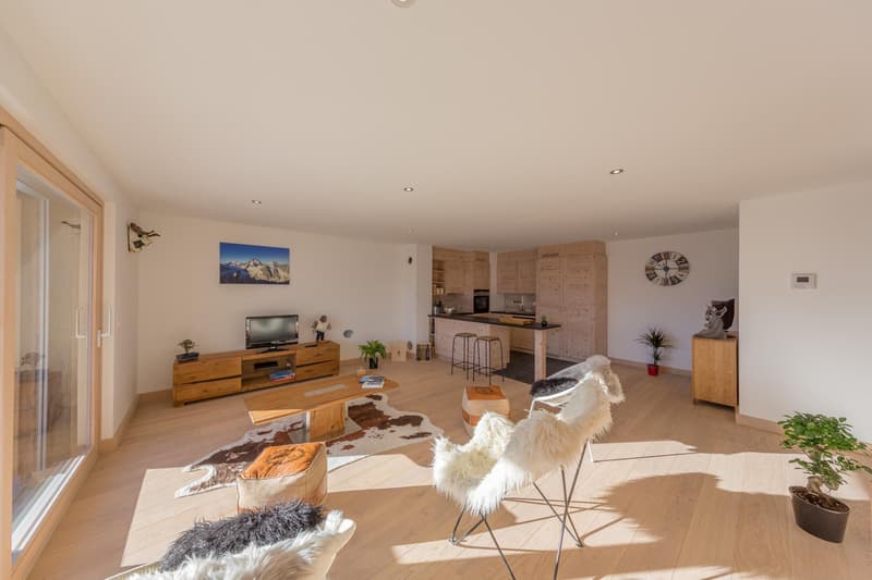 Superbe appartement avec grande terrasse (2)
