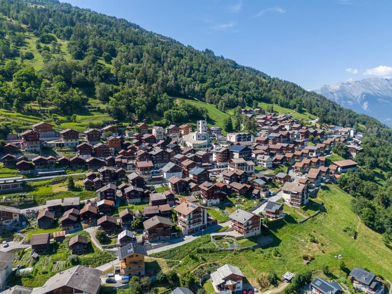 Superbe appartement avec grande terrasse (8)