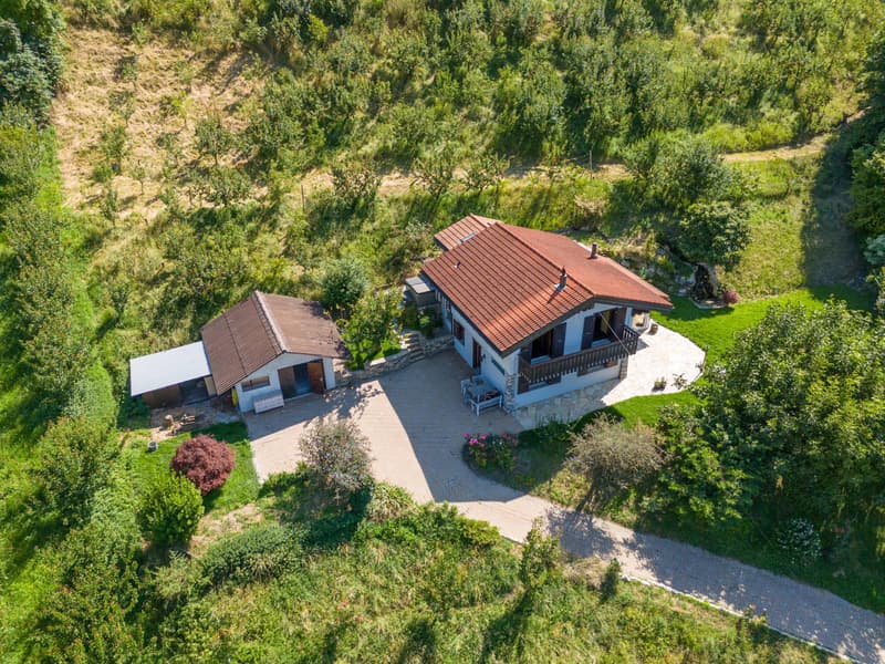 Villa avec espace wellness au milieu des abricotiers (13)