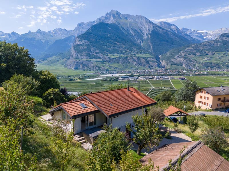 Villa avec espace wellness au milieu des abricotiers (4)