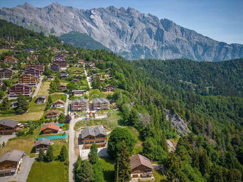 2.5 pièces neuf avec terrasse Sud et vue montagne (11)