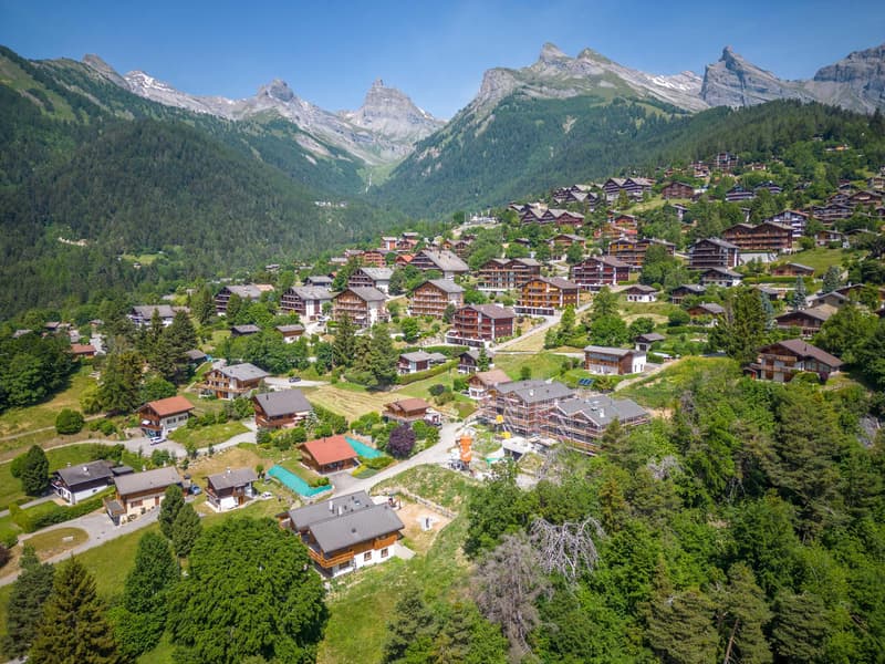 2.5 pièces neuf avec terrasse Sud et vue montagne (13)