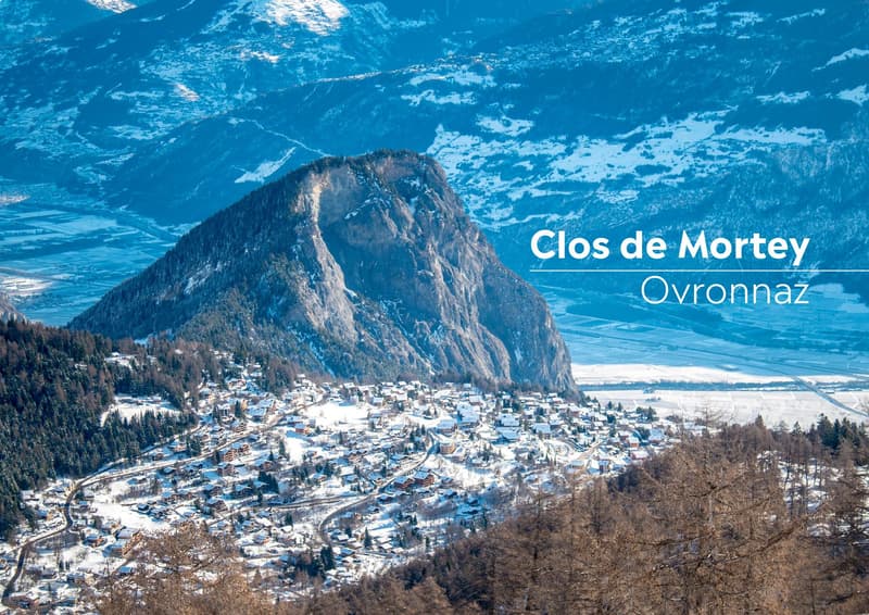 2.5 pièces neuf avec terrasse Sud et vue montagne (10)