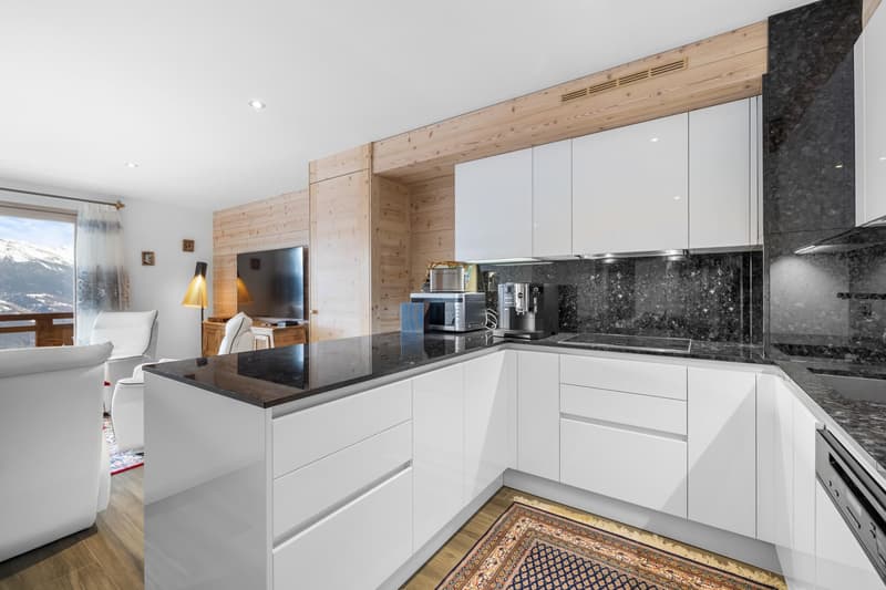 Magnifique appartement ski in/out (3)
