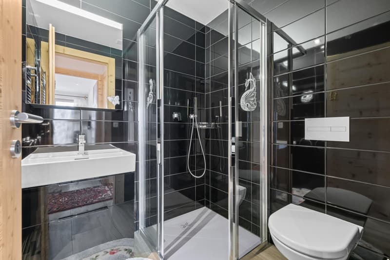 Magnifique appartement ski in/out (12)