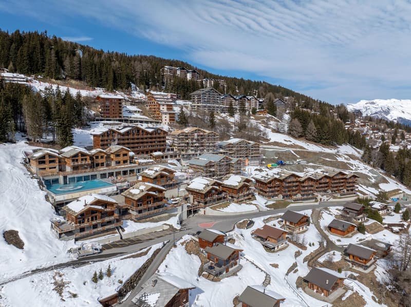 Magnifique appartement ski in/out (13)