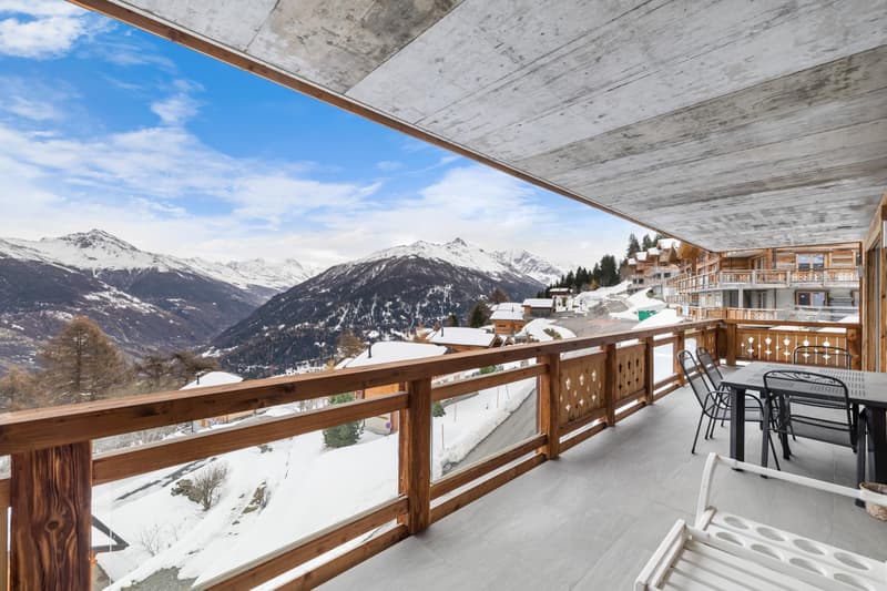 Magnifique appartement ski in/out (7)