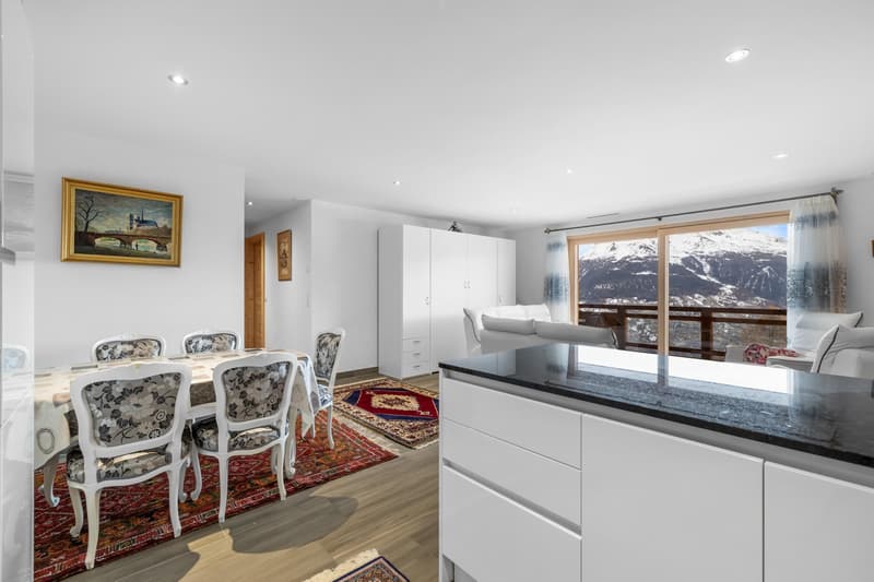 Magnifique appartement ski in/out (2)