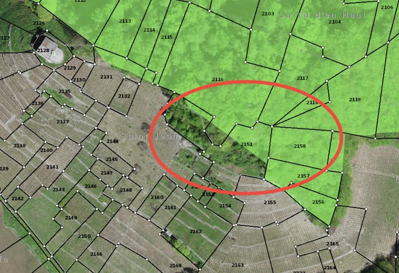 Cadre historique et naturel pour événements exclusifs (6)