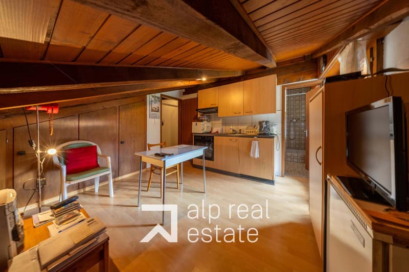 Appartement mansardé et traversant au centre du village (7)