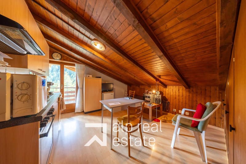 Appartement mansardé et traversant au centre du village (6)