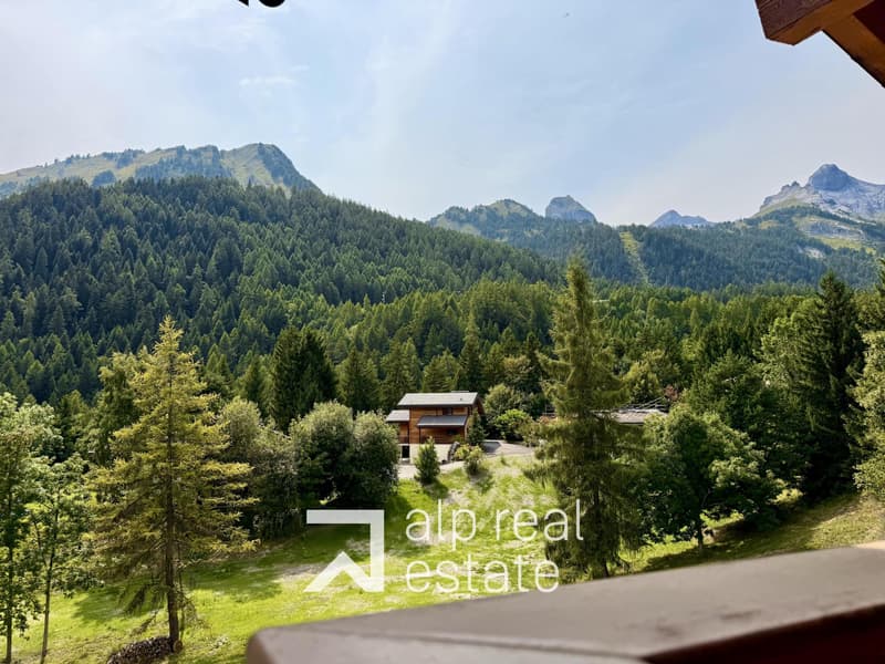 Appartement mansardé et traversant au centre du village (4)