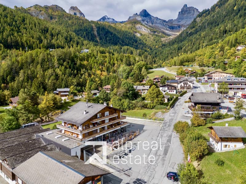 Appartement mansardé et traversant au centre du village (9)