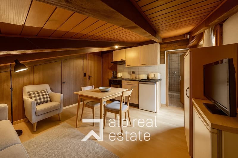 Appartement mansardé et traversant au centre du village (3)