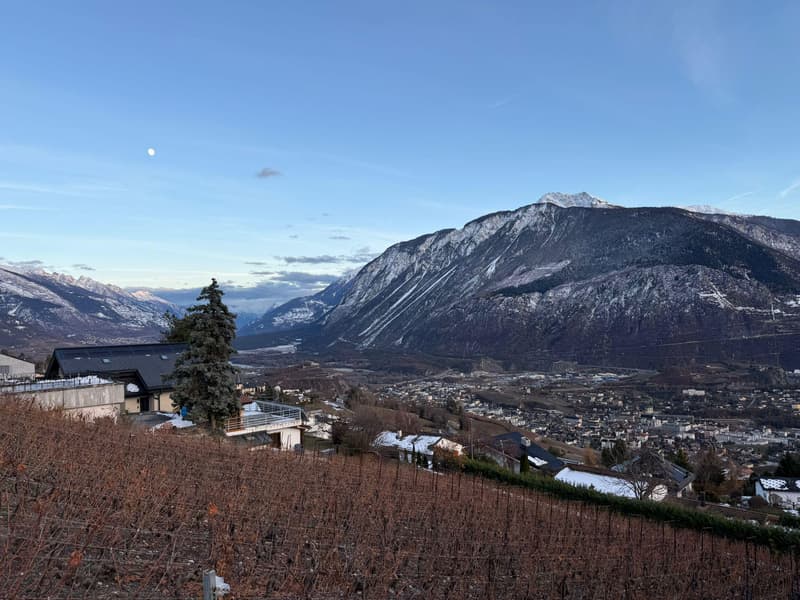 Villa jumelle & appartement indépendant - vue exceptionnelle (12)