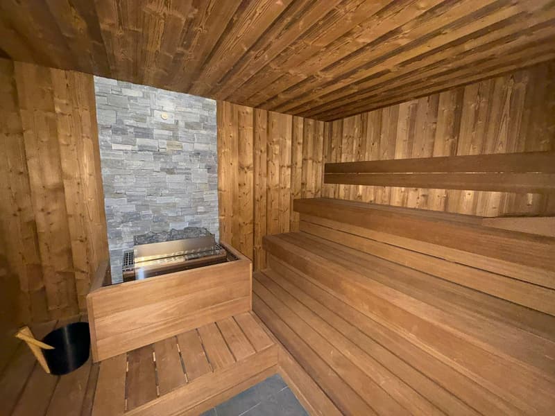 Appartement ski in/out dans résidence hôtelière (2)