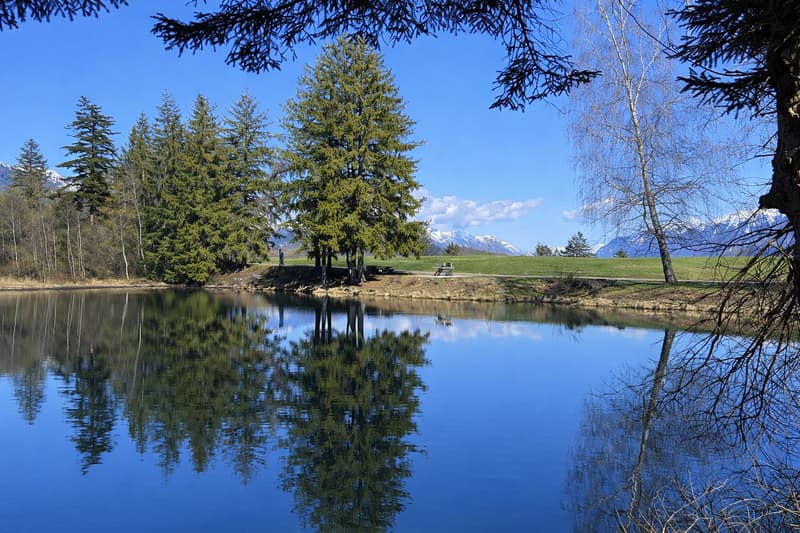 Chalet sur plan avec vue à couper le souffle - résidence principale (10)