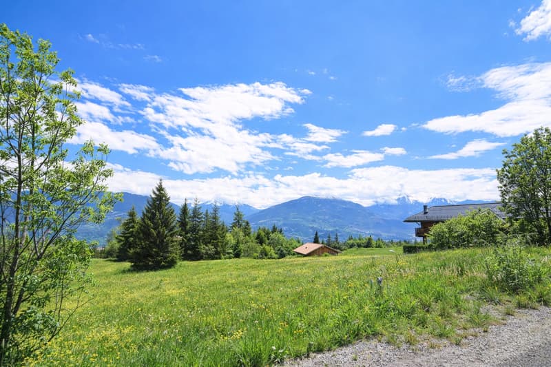 Chalet sur plan avec vue à couper le souffle - résidence principale (7)