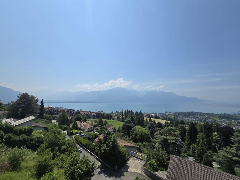 Superbe appartement avec terrasse et vue sur le lac (6)