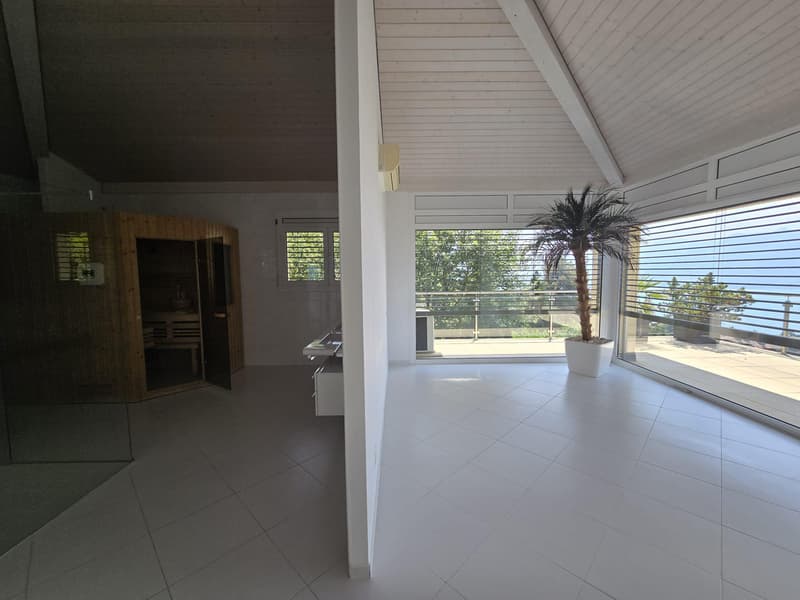 Superbe appartement avec terrasse et vue sur le lac (8)