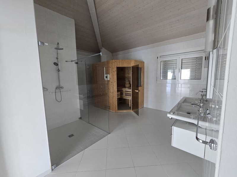 Superbe appartement avec terrasse et vue sur le lac (4)