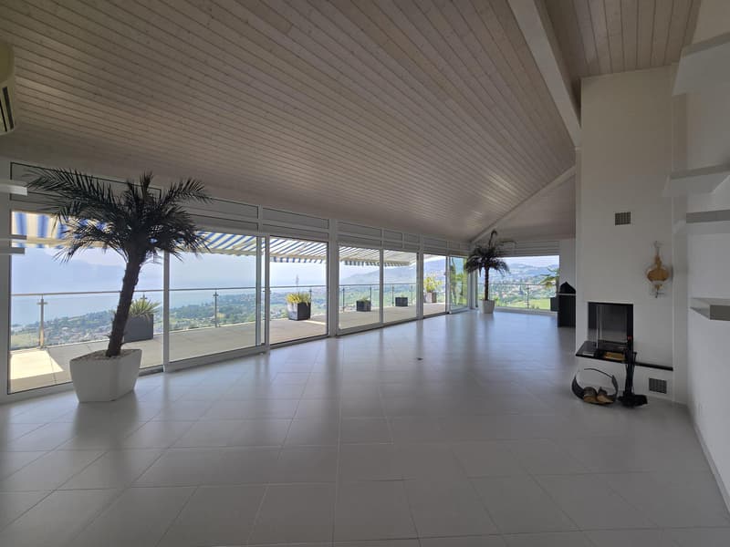 Superbe appartement avec terrasse et vue sur le lac (1)