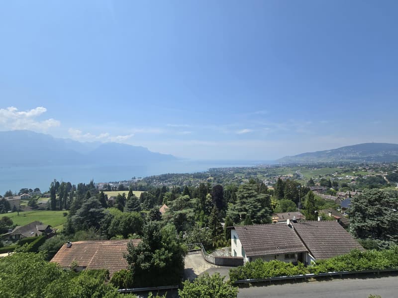 Superbe appartement avec terrasse et vue sur le lac (7)