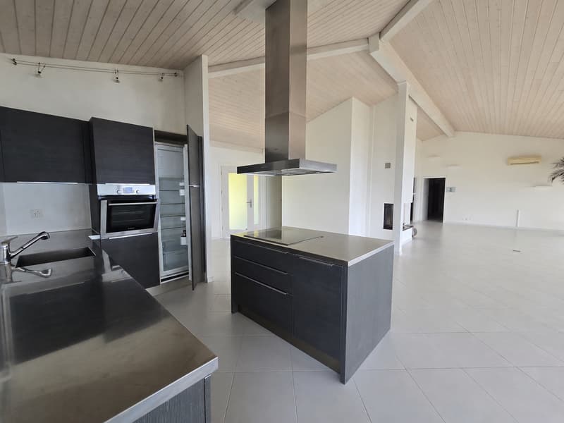 Superbe appartement avec terrasse et vue sur le lac (3)
