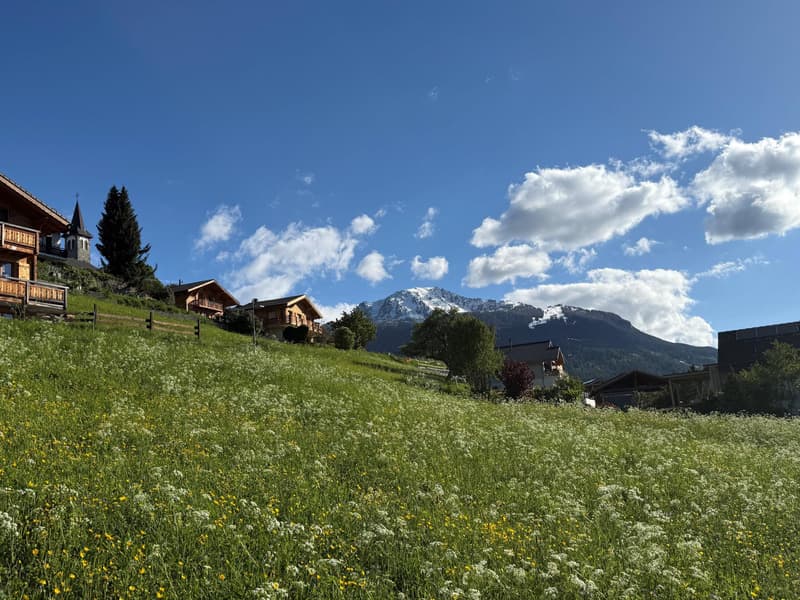 Magnifique attique neuf avec vue panoramique (6)