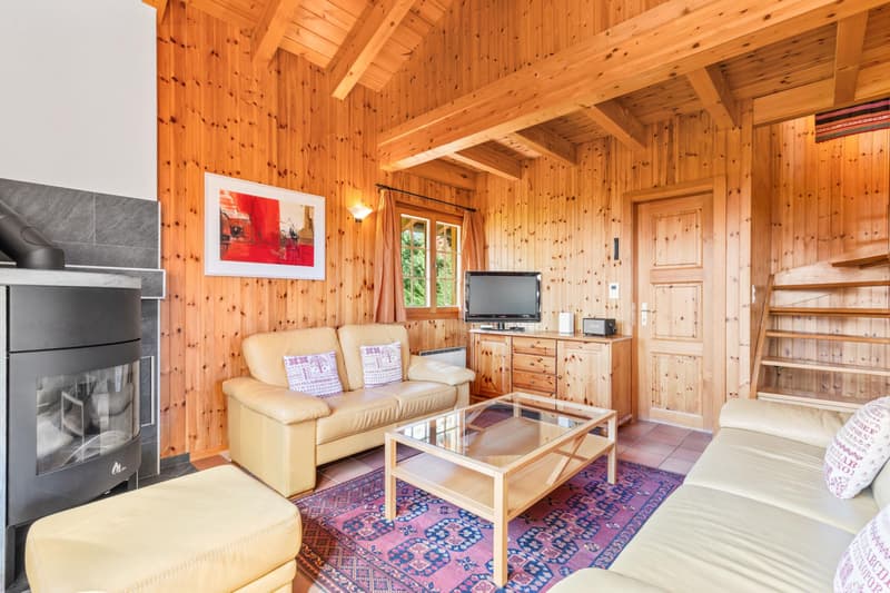 Magnifique chalet en madrier au calme - situation exceptionnelle (6)