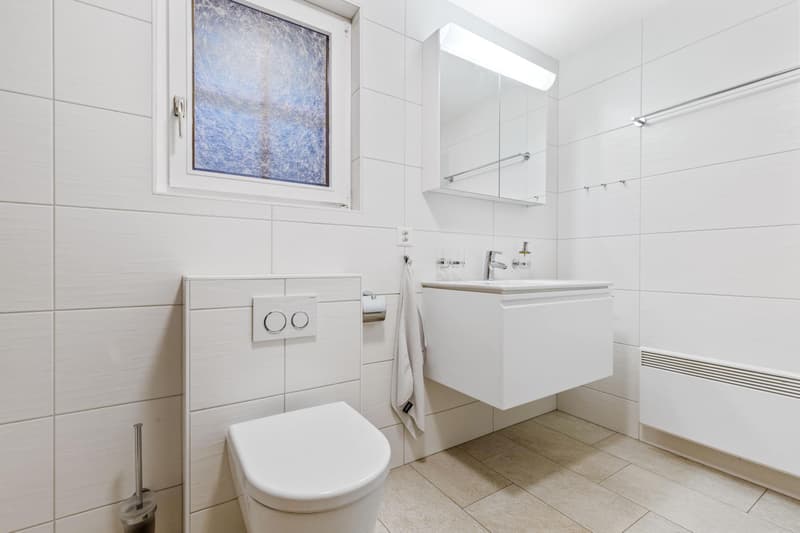 Magnifique chalet en madrier au calme - situation exceptionnelle (12)