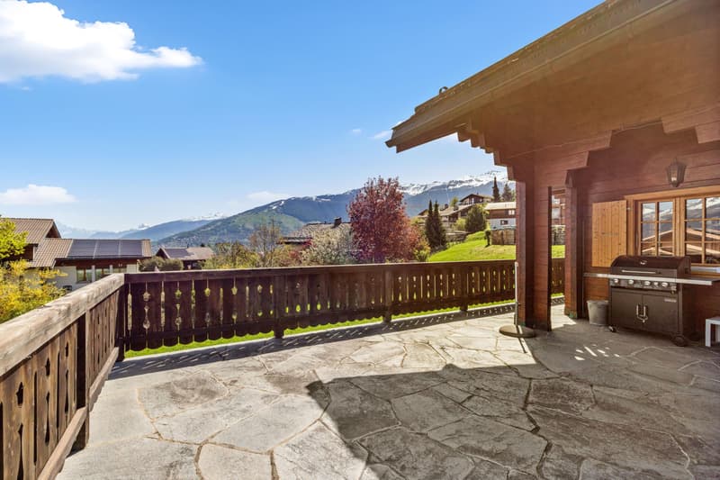 Magnifique chalet en madrier au calme - situation exceptionnelle (3)