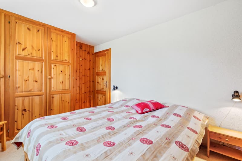 Magnifique chalet en madrier au calme - situation exceptionnelle (11)
