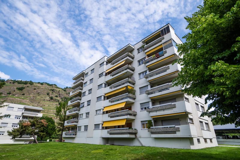 Superbe 3.5 pièces avec balcon (9)