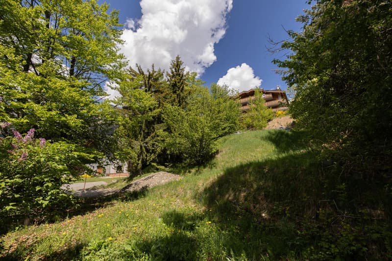 Terrain constructible ? mitoyen aux Bains (3)