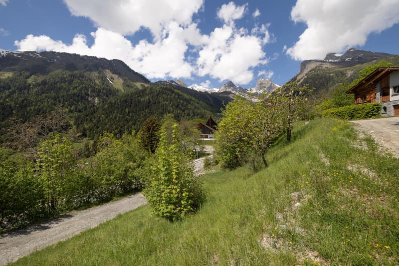 Terrain d'exception ? à deux pas des Bains (3)
