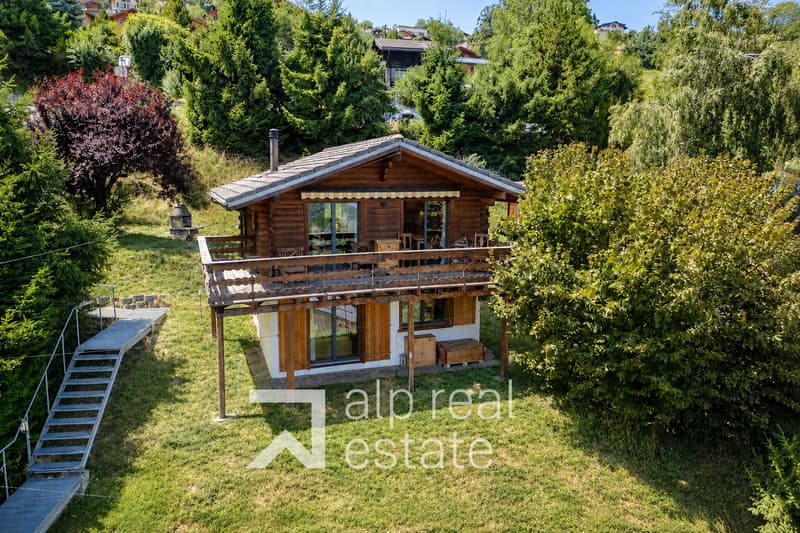 Magnifique chalet rénové avec vue à couper le souffle (12)