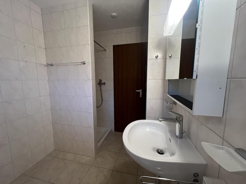 Magnifique appartement de 3,5 pièces avec vue (6)