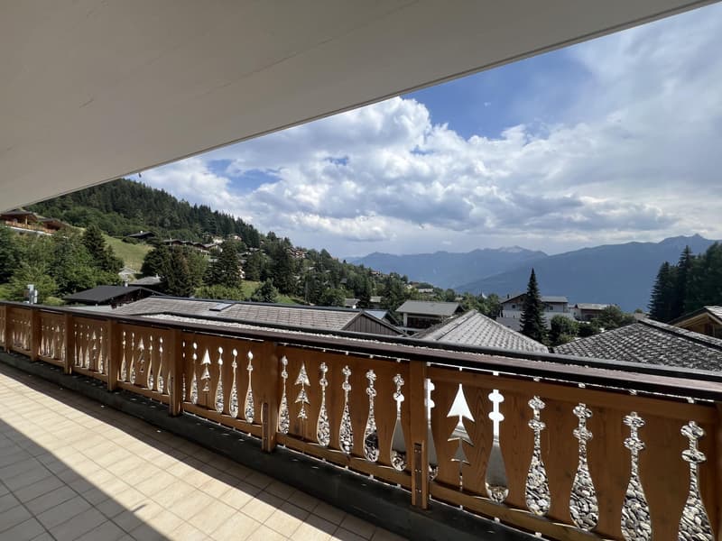 Magnifique appartement de 3,5 pièces avec vue (4)