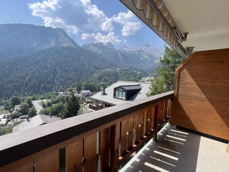 Appartement 2.5 pièces avec vue (2)