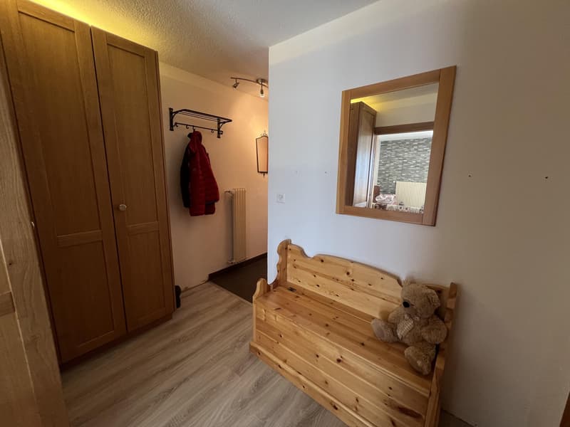 Appartement 2.5 pièces avec vue (5)