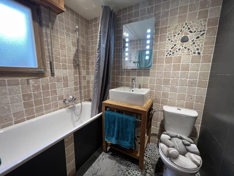 Appartement 2.5 pièces avec vue (4)
