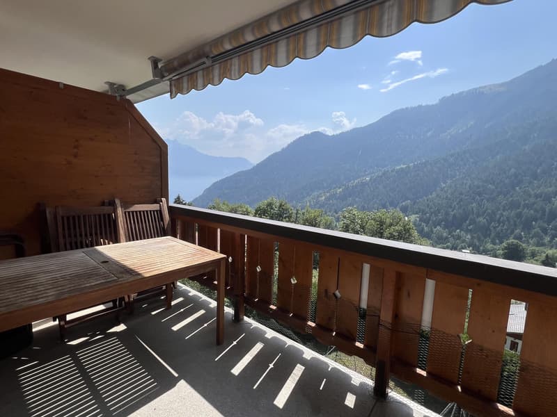 Appartement 2.5 pièces avec vue (7)