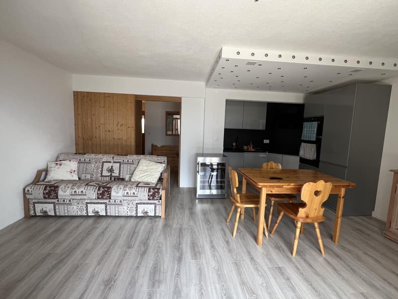 Appartement 2.5 pièces avec vue (8)