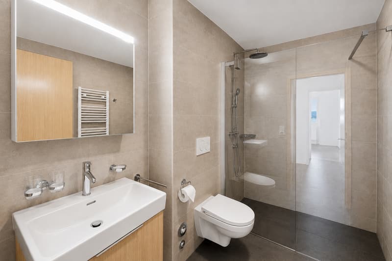 Magnifique appartement avec terrasse et vue panoramique (8)