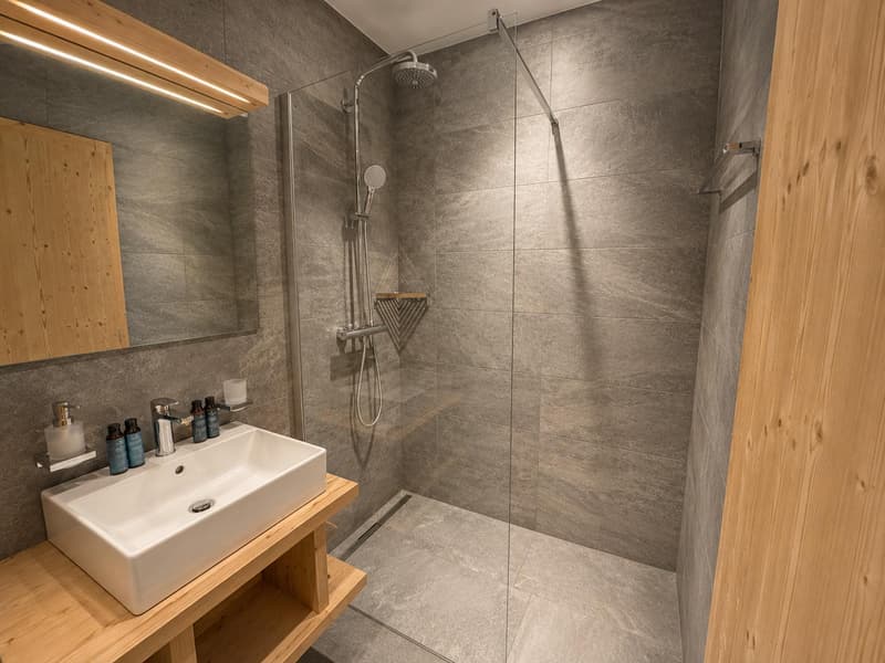Superbe appartement ski in/out dans résidence hôtelière (3)